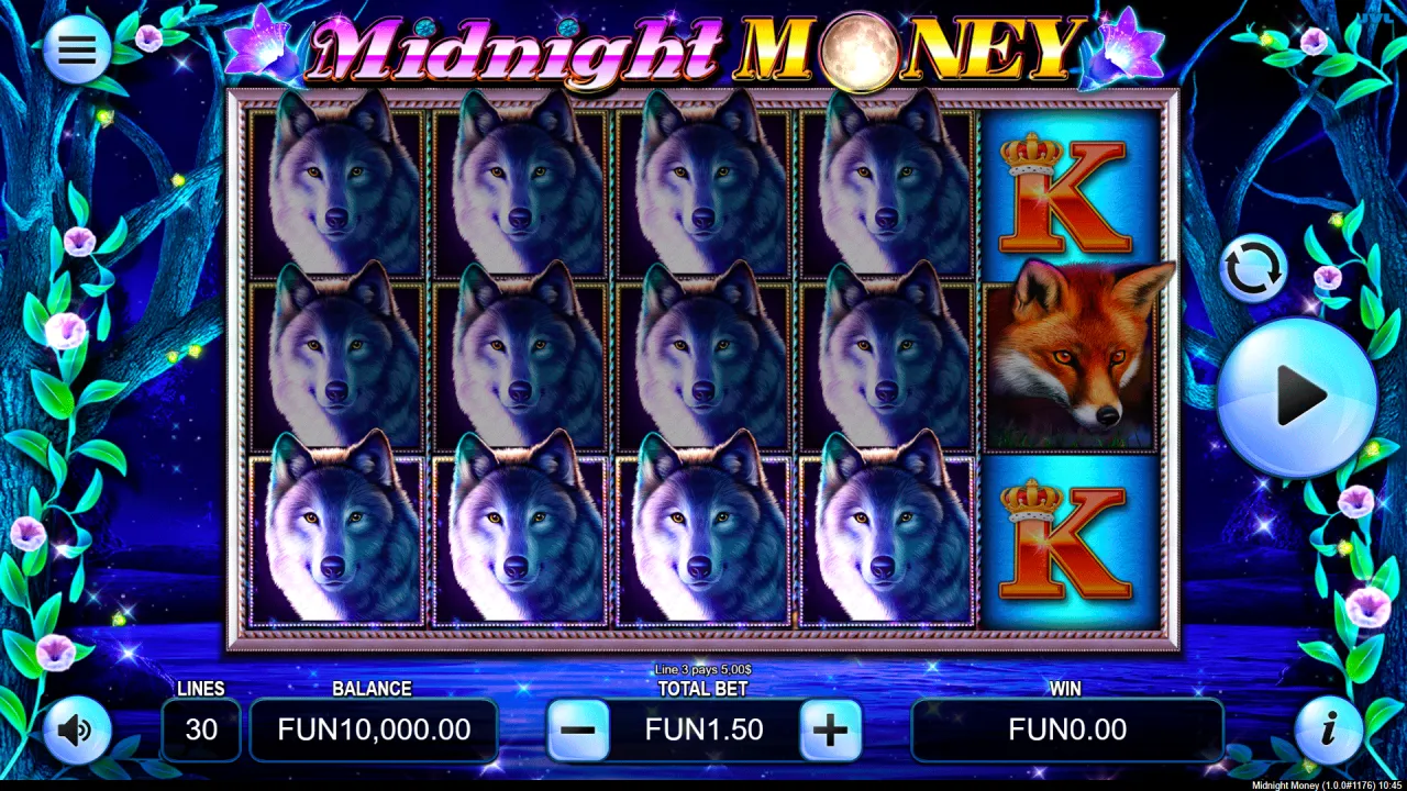 Midnight Money