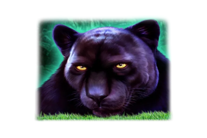 Whiskers and Wealth &ndash; Cash Cats